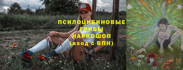дмт Алексеевка